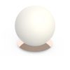 Pablo Bola Sphere Tischleuchte 16 